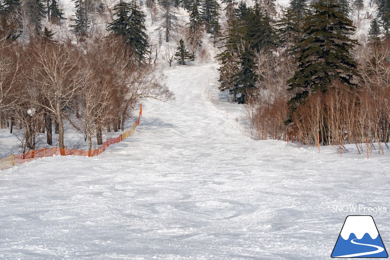 札幌国際スキー場｜さすが『KOKUSAI』！春シーズンも安泰の豊富な積雪で、まだまだ余裕で全面滑走可能です(^^)v